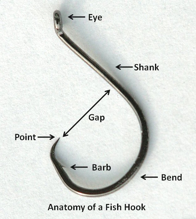 "Anatomy of a Fish Hook" Diagram, source: Wikipedia